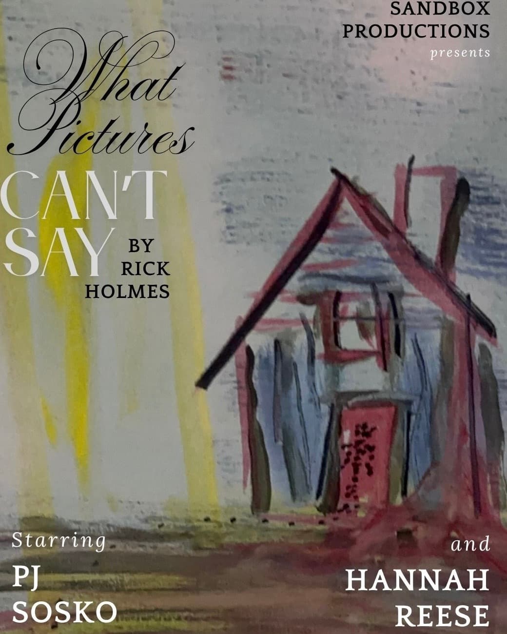 What Pictures Can't Say (Film)